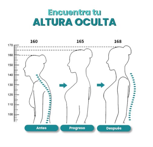 Corrector De Postura - PostureLab™